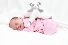 Mahefasoa PINEAU - LAED Compagnie