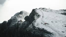 Abel BASSELET - Abel Basselet